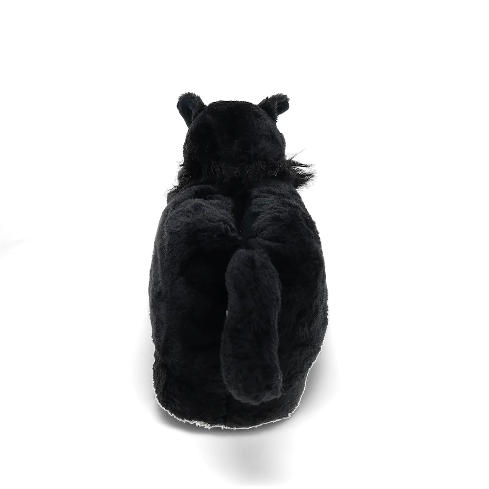 Black Cat Slippers