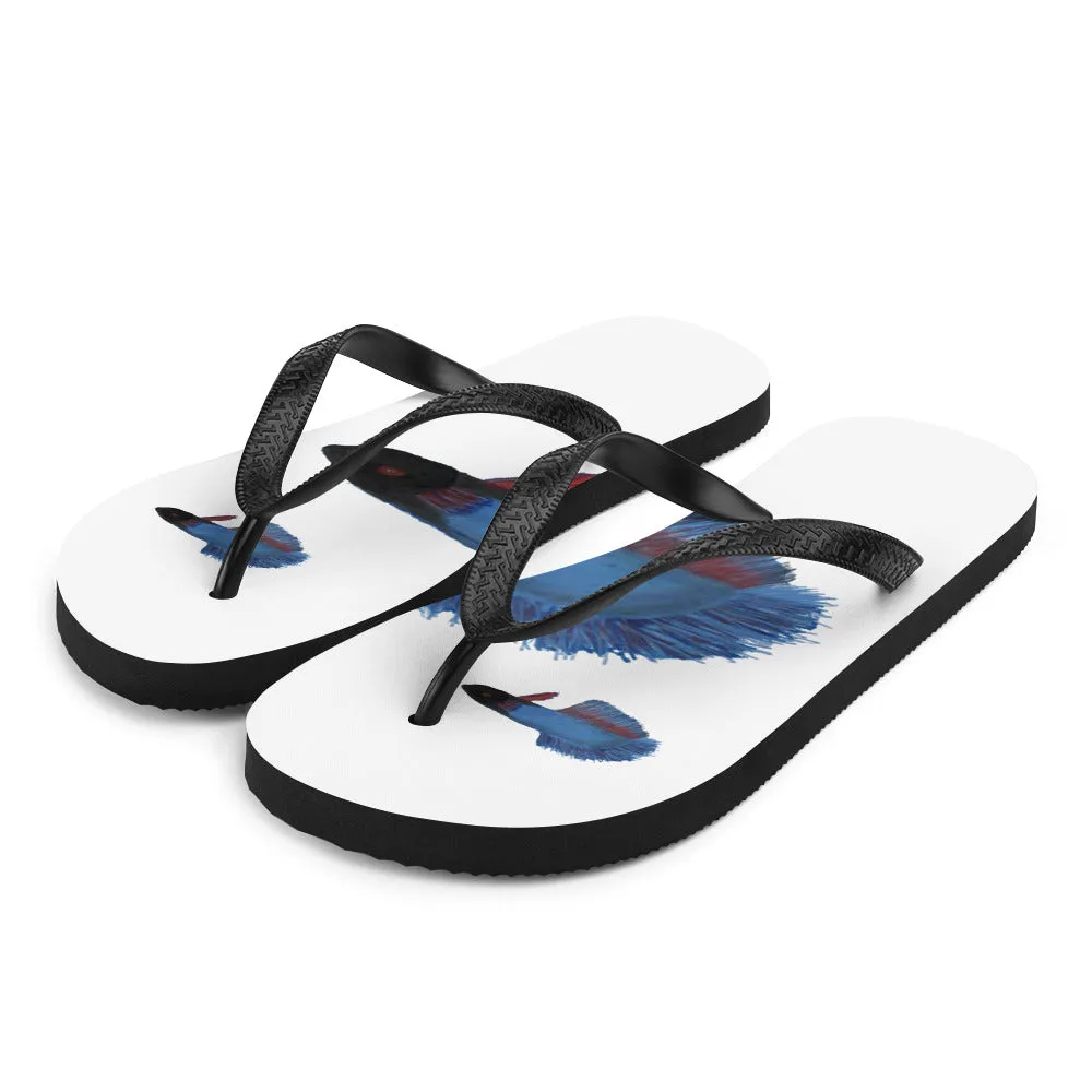 Flip-Flops blue beta fish