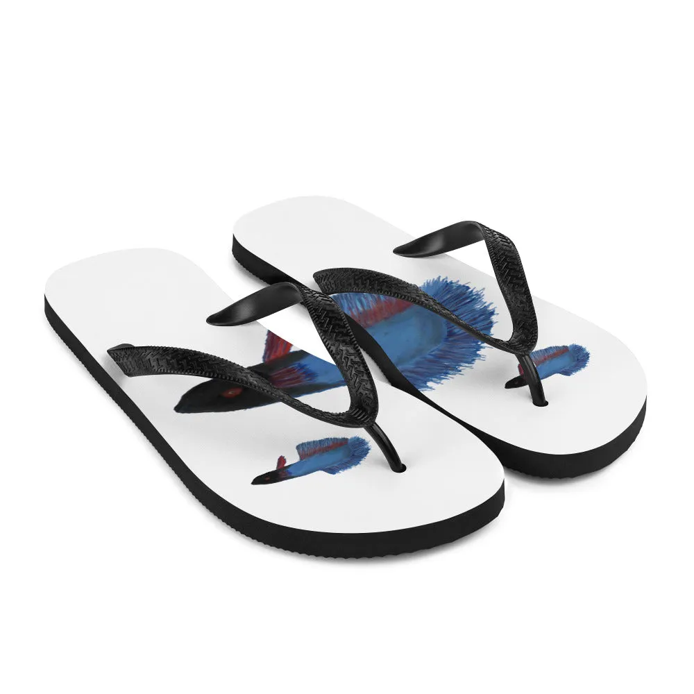 Flip-Flops blue beta fish