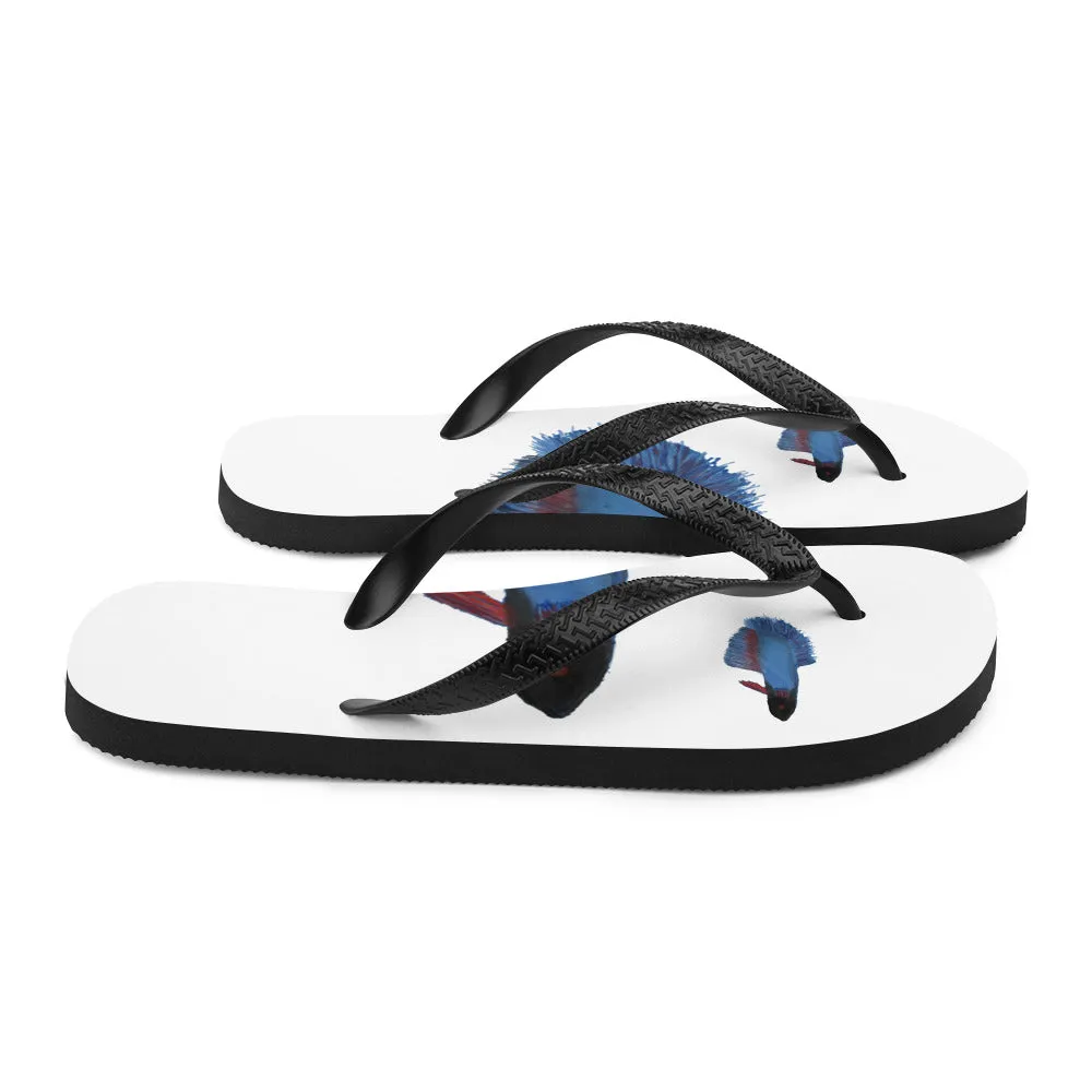 Flip-Flops blue beta fish