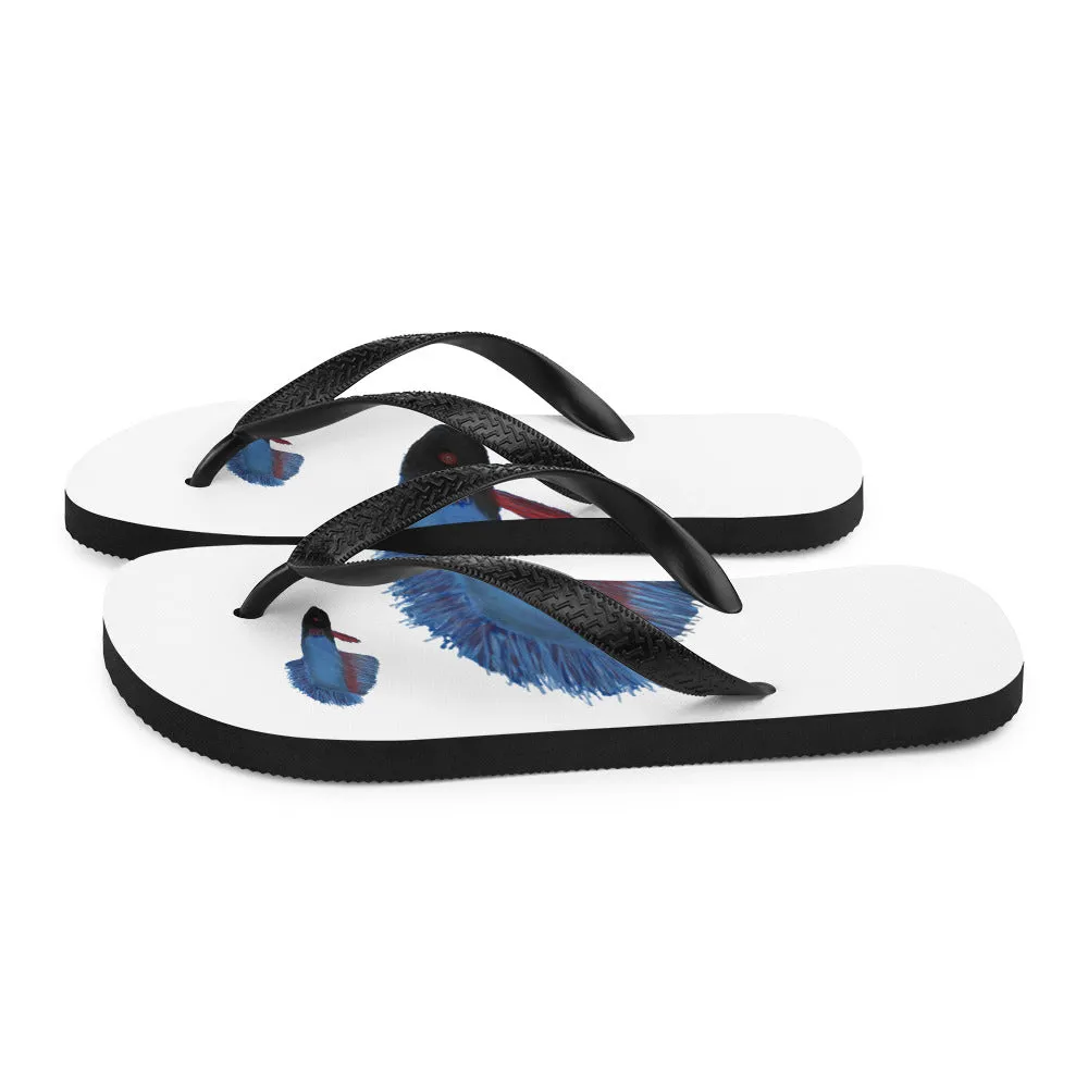 Flip-Flops blue beta fish